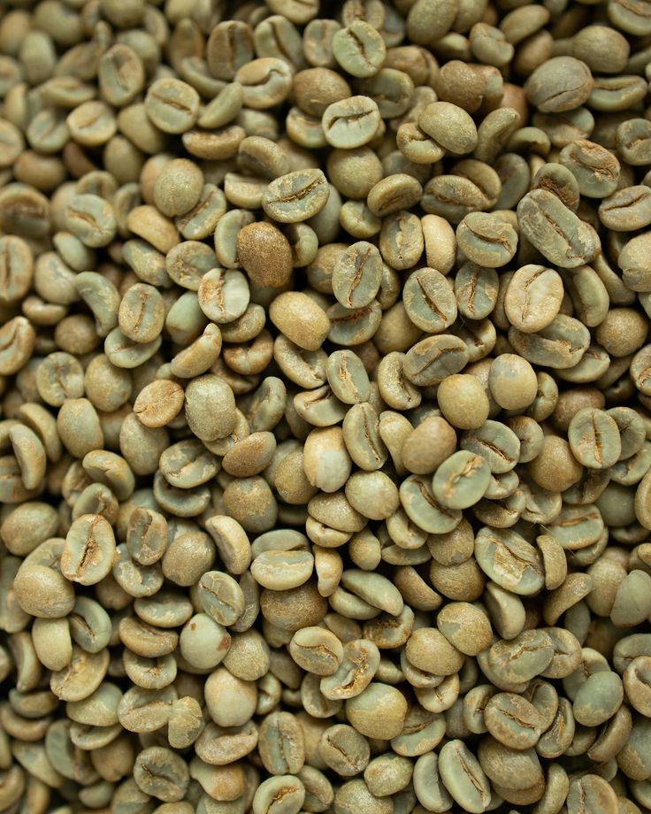 Grains de café verts, avant torréfaction.